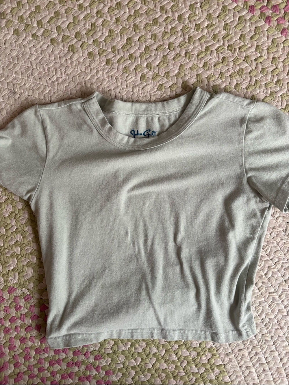 Brandy Melville Light Sage Green Cropped Tee